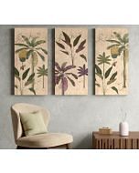 India Circus by Krsnaa Mehta Nature's Tapestry Wall Art Set of 3